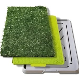 Tapete Entrenamiento Perros Potty Patch Lavable 68x43cm Plástico