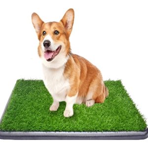 Tapete Entrenador Mascota Con Grama Tamaño 76.5 Cm X 51 Cm Color Negro