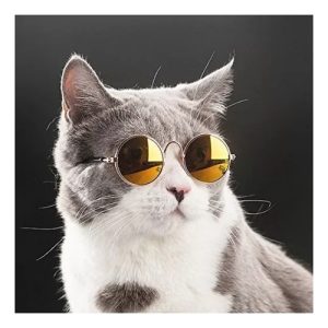 Gafas Sol Gato Perro Mascotas