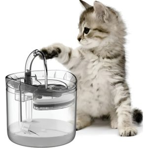 Fuente De Agua Para Mascotas Perros Y Gatos Transparente Transparente