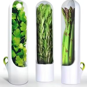 Conservador De Vegetales. Vaso Mantenimiento De Vegetales Color Foto