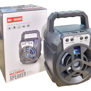 Parlante Portatil Inalambrico Recargable Usb Radio Ms-1603 Negro