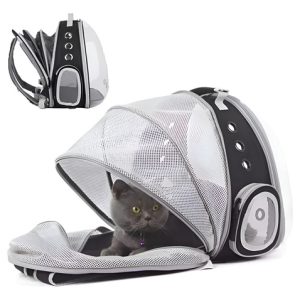 Morral Maleta Mochila Expandible Transparente Gato Negro